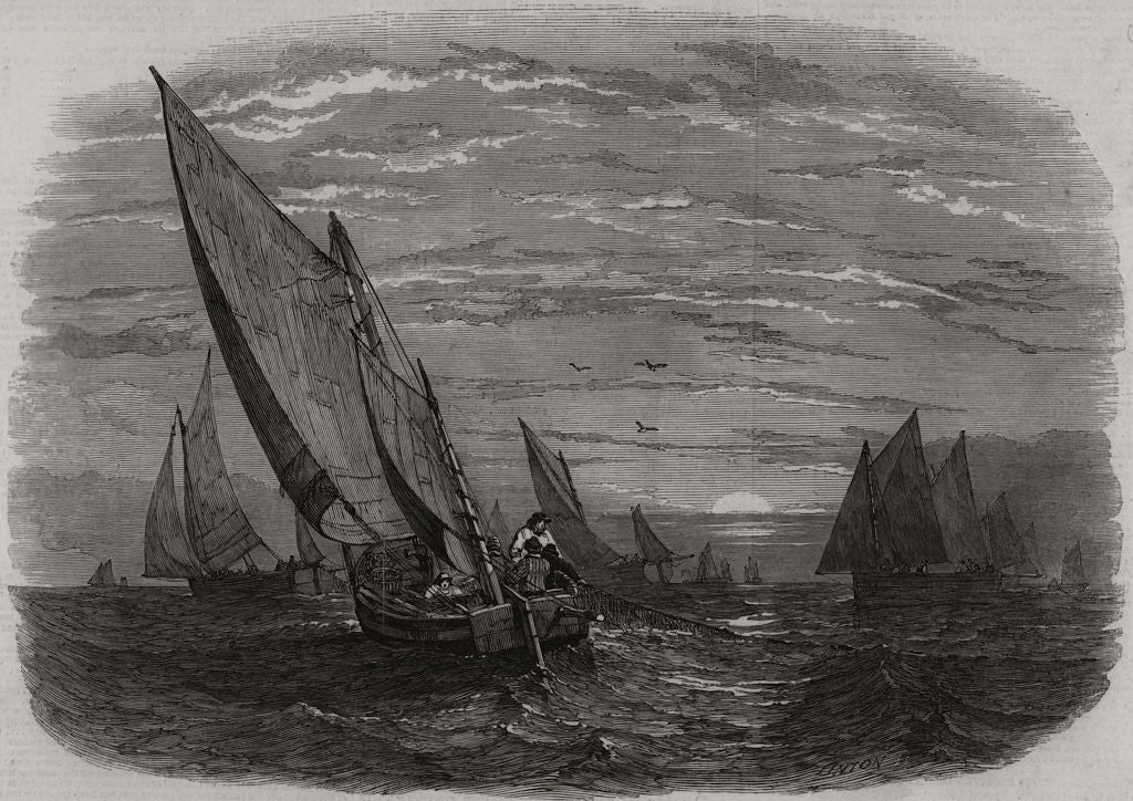 Mackerel fishing. Brighton Boats. Sussex 1847 old antique print picture